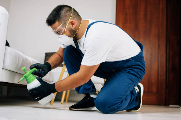 أسعار رش الشقق