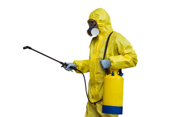 الألمانية لابادة الحشرات بالقاهرة