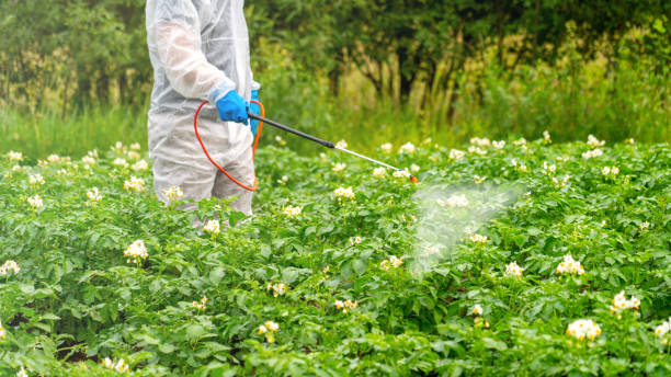 شركة مكافحة حشرات في مدينتي
