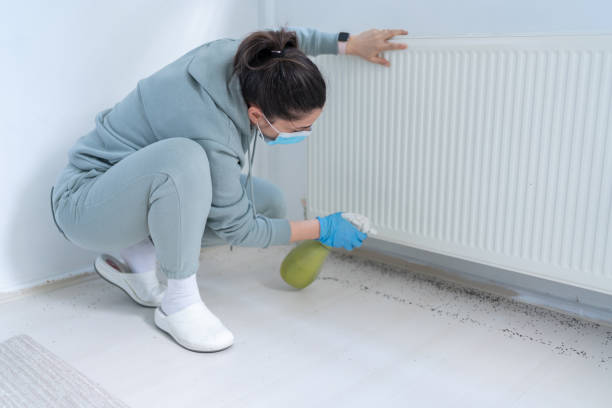 شركة ابادة حشرات