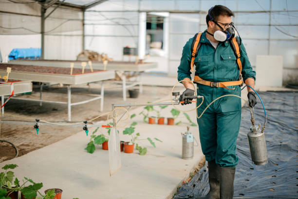 شركة ابادة حشرات